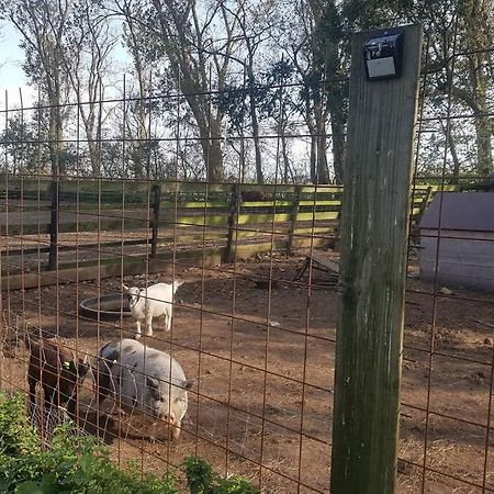 B&B Hoeve Dijkstal Logeren Op De Boerderij Синт-Мартен Экстерьер фото