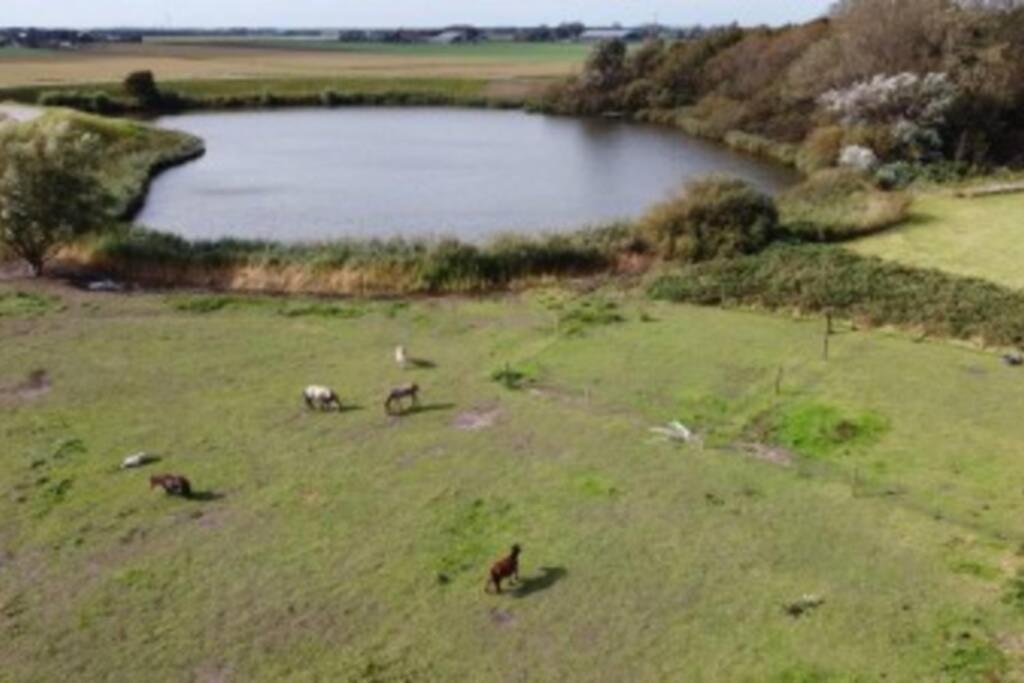 B&B Hoeve Dijkstal Logeren Op De Boerderij Синт-Мартен Экстерьер фото